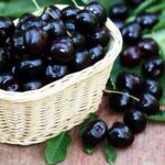 Черешня Черная