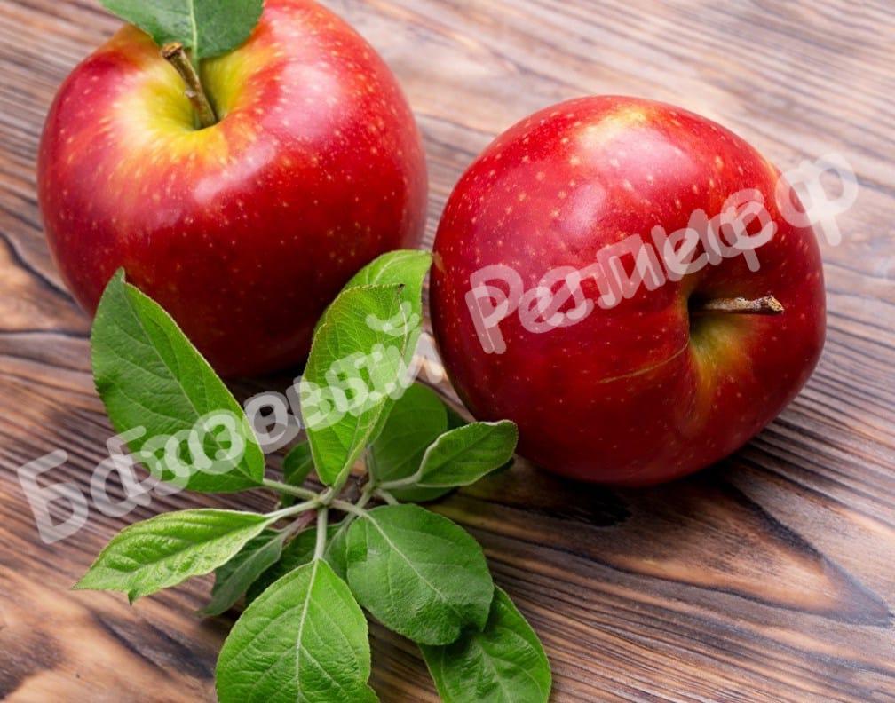 Яблоня домашняя Гала