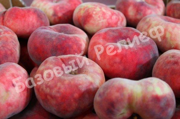 Персик инжирный Китайская Репка