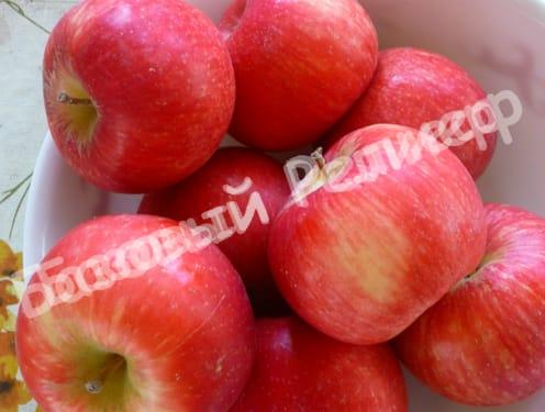 Яблоня Хани Крисп ( Медовый Хруст)