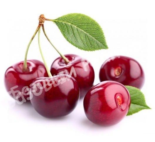 Вишня Норд Стар