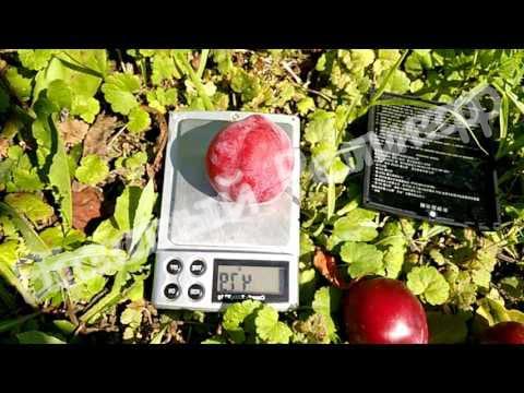 Алыча Аленушка