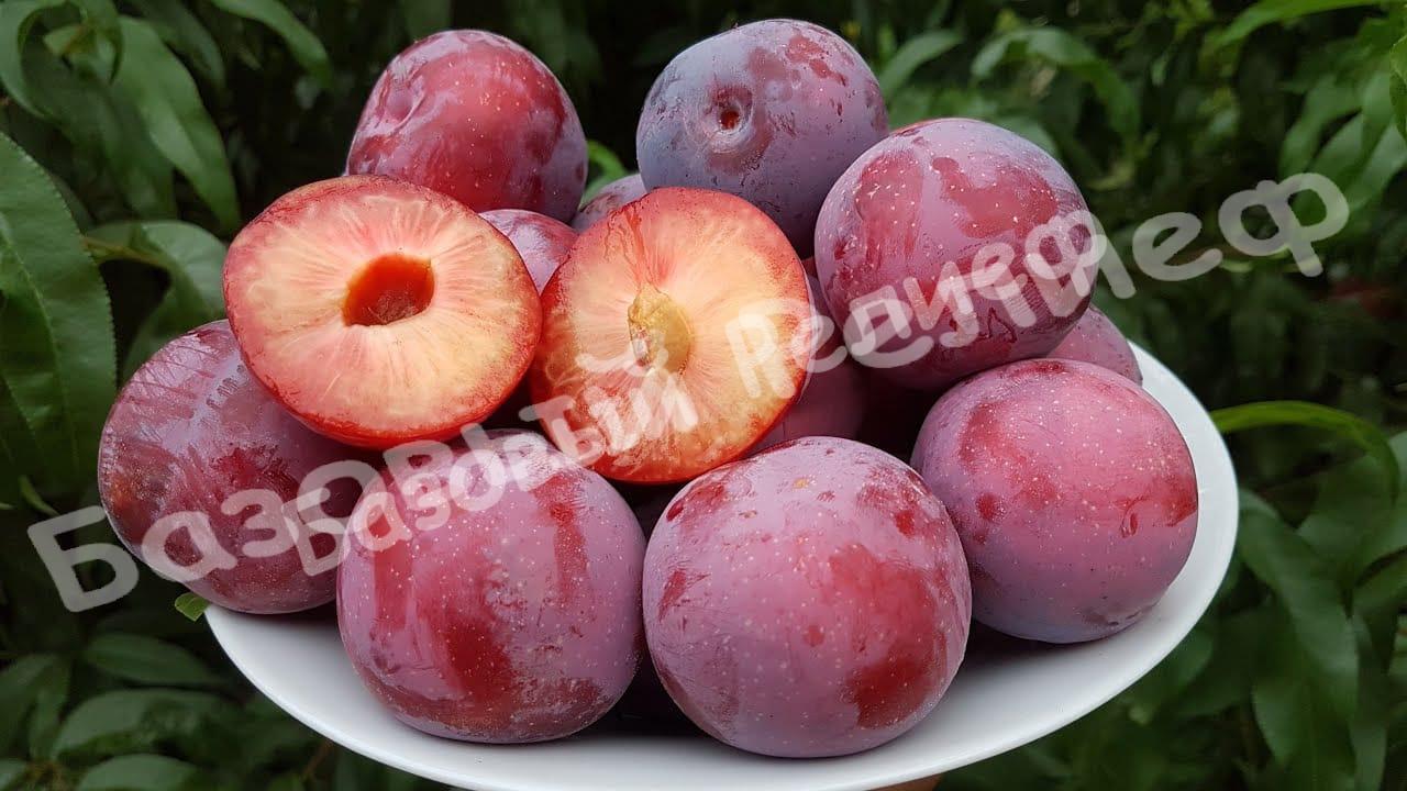 Алыча Десертная