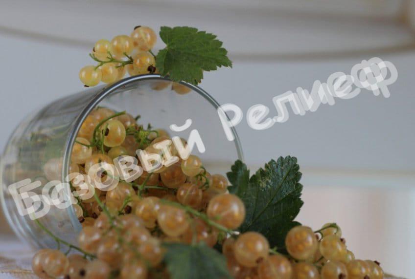 Смородина белая Вердавия