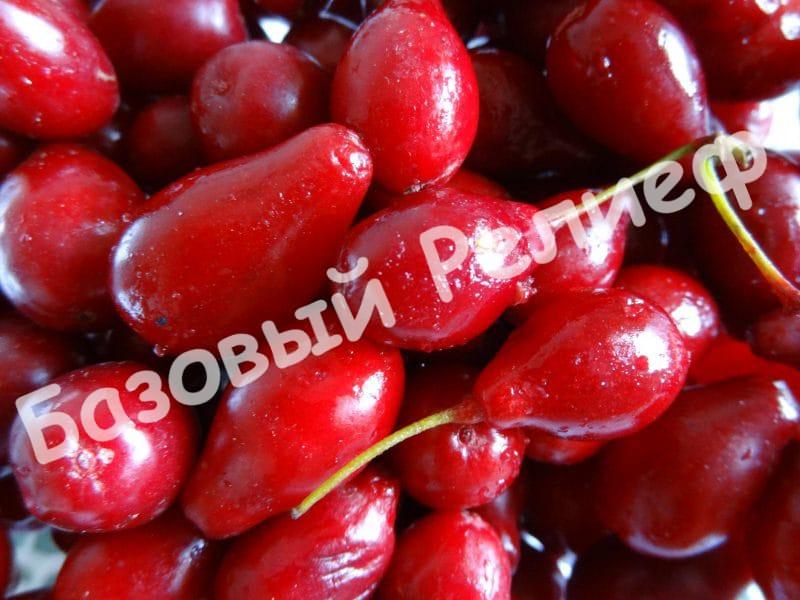 Кизил Ямайский