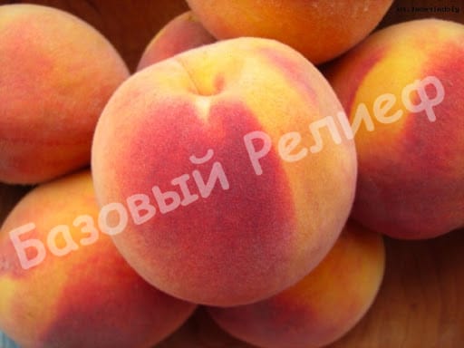 Персик Советский