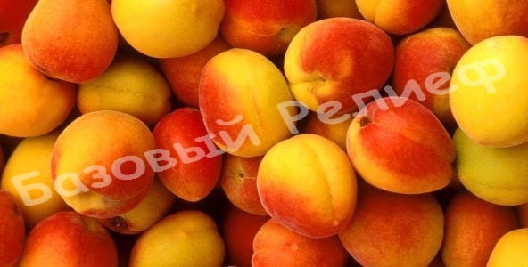 Абрикос Пикантный