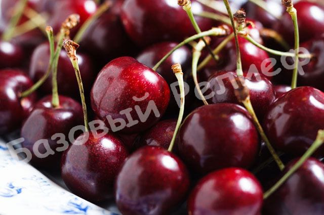 Черешня Принцесса ночи