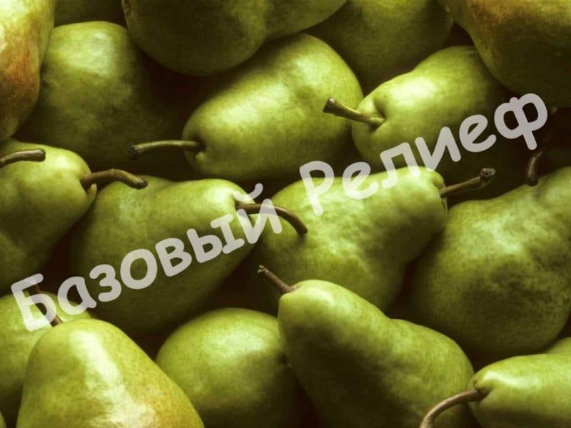 Груша Давид