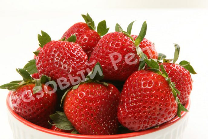 Клубника Боровицкая