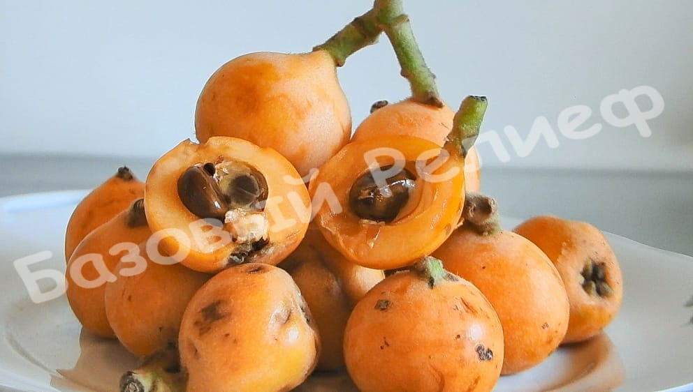 Мушмула японская Комун