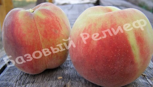 Персик Франт