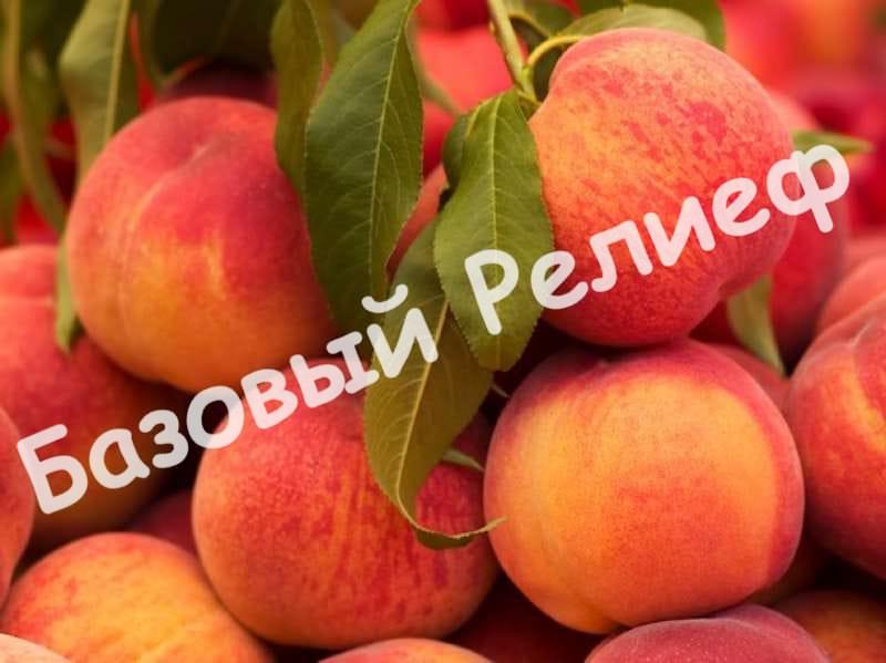 Персик Сказка