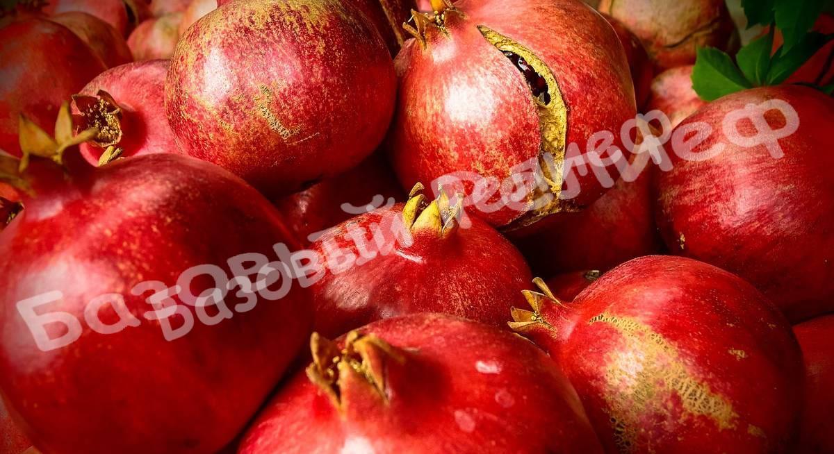 Гранат Гюлейша розовая