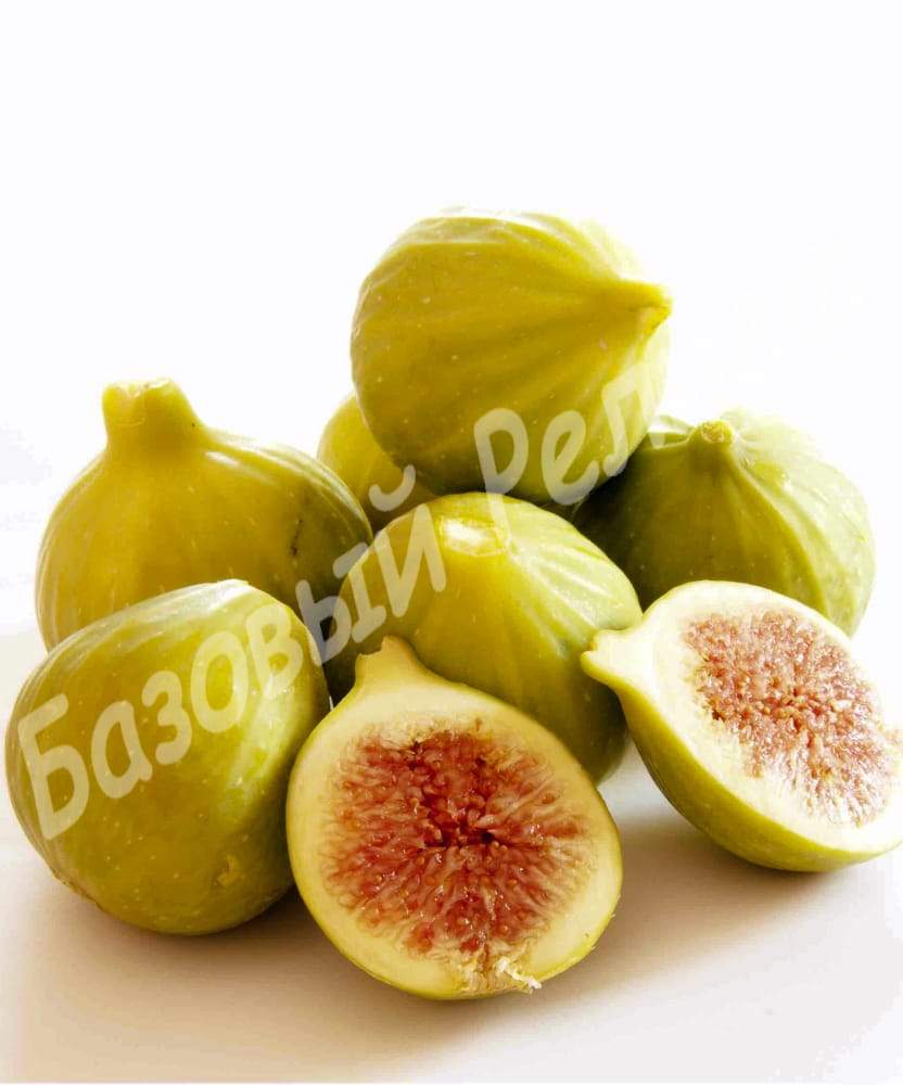 Инжир Белый Адриатический