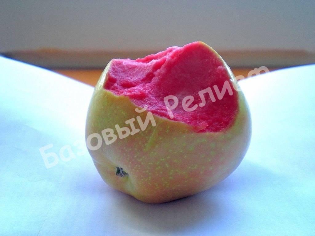Яблоня Розовый Жемчуг