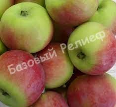Яблоня Алтайское зимнее