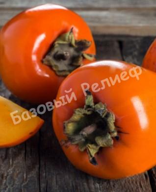 Хурма Мечта