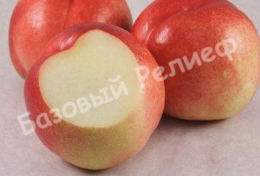 Нектарин Снежная королева