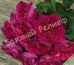 Роза Кейт