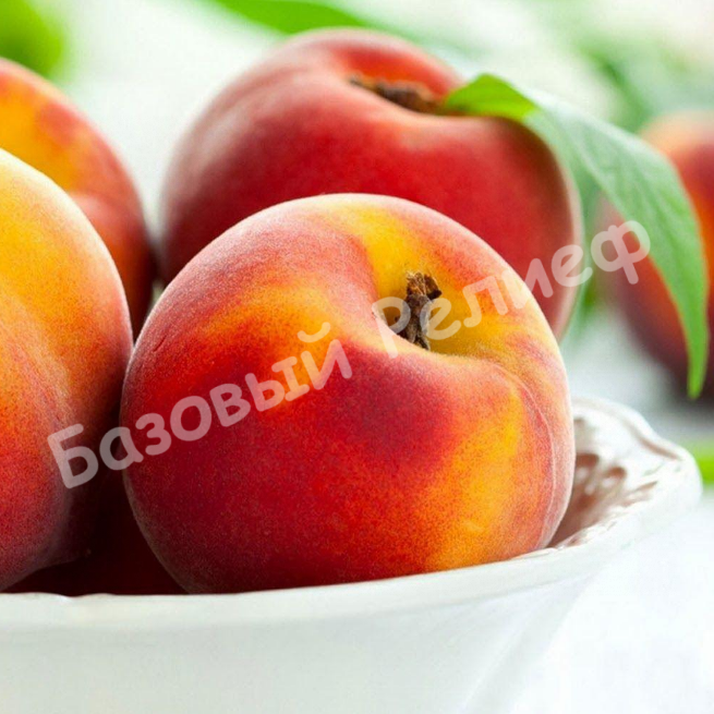 Нектарин Алайс