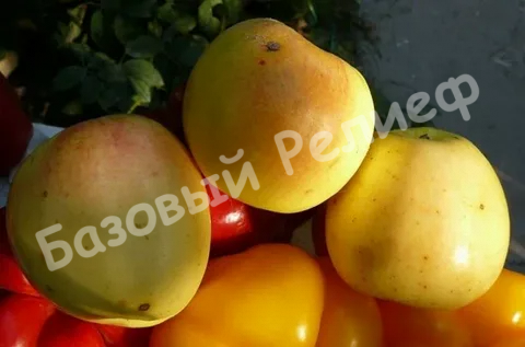 Яблоня Банановое