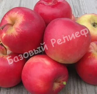 Яблоня Благая весть