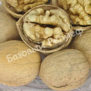 Орех грецкий Чандлер