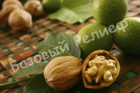 Орех грецкий Буковинский 2