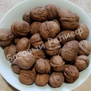 Орех грецкий Краснодарский юбилейный