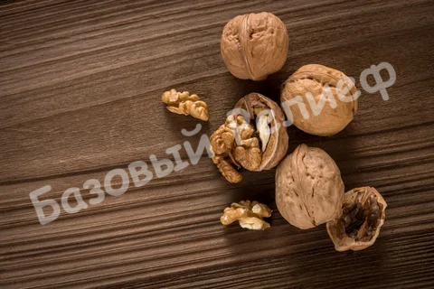 Орех грецкий Рудник