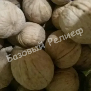 Орех грецкий Кабардинский десертный