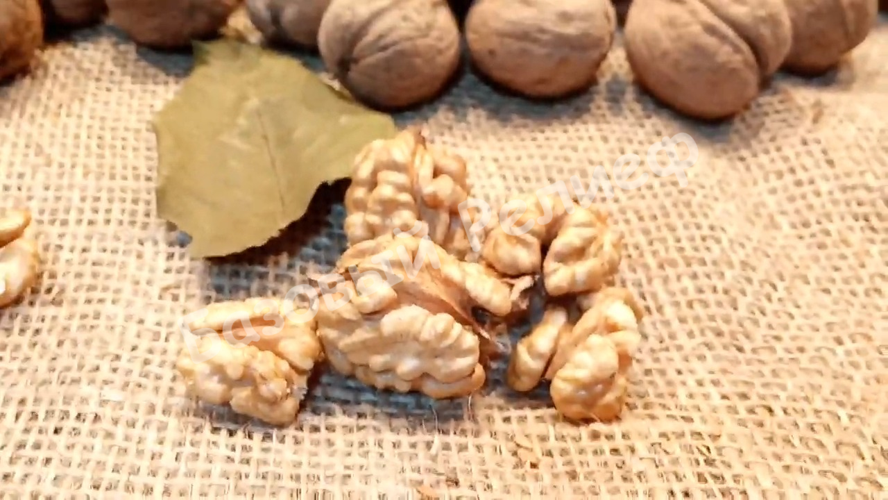 Орех грецкий Каировский