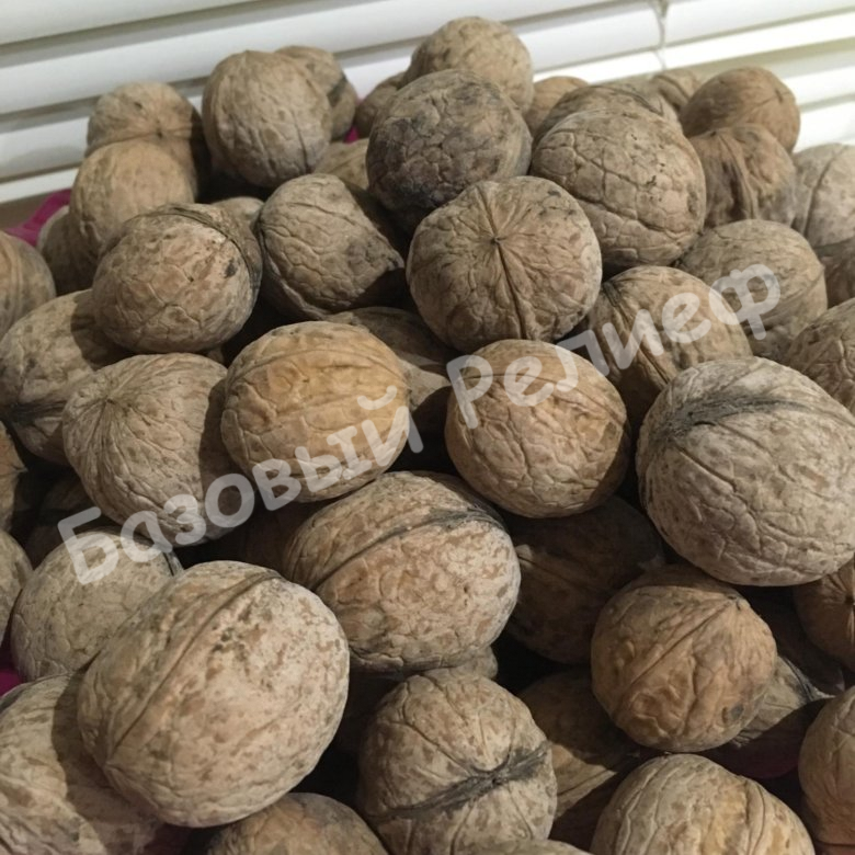 Орех грецкий Fеrnor