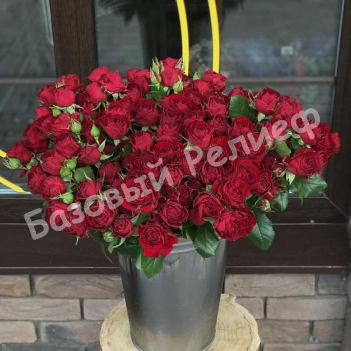 Роза Блек Бабблз