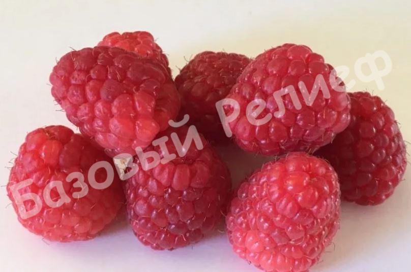 Малина Теньковская ранняя