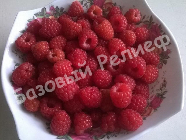Малина Калининградская