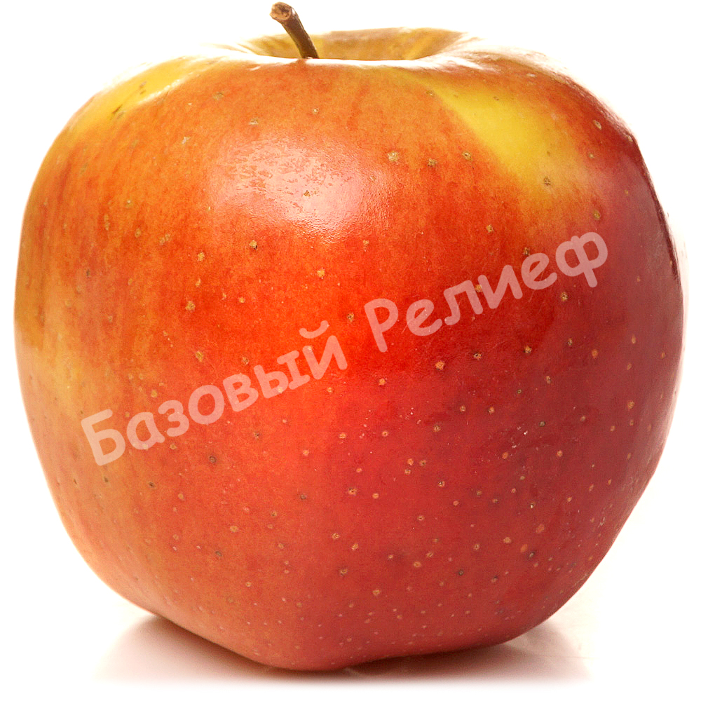 Яблоня Амброзия