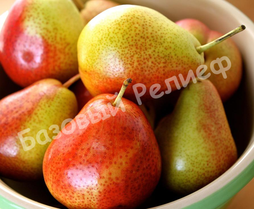 Груша Форель