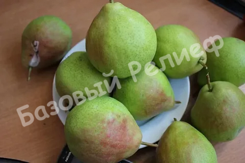 Груша Пасс-крассан