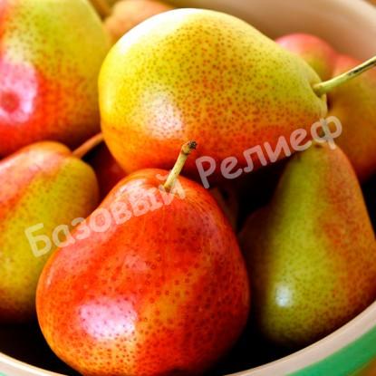 Груша Сладкая из Млиева