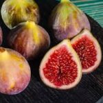 Инжир Розовый (Ереванский)